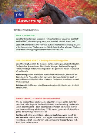 Auswertung