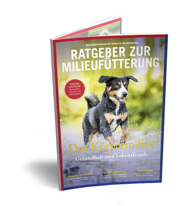 04-Hund-Cover-transparent 04-Hund-Cover-transparent