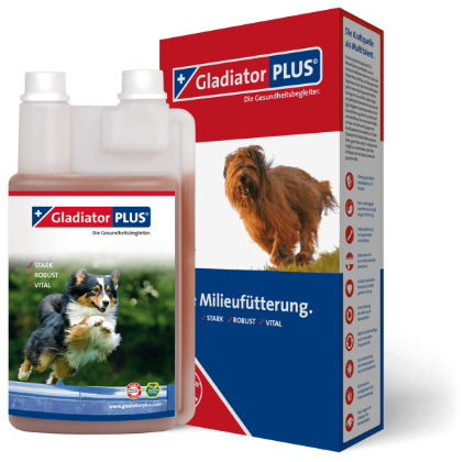 gladiatorplus-8-gruende-hund