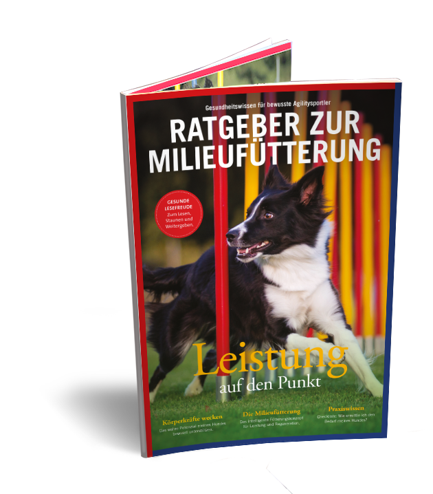 Agility-Cover_NEU Agility-Cover_NEU
