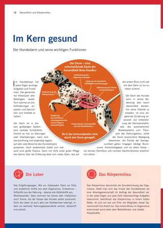 Ratgeber_zur_Milieufütterung_für_Hunde (1)-part-2