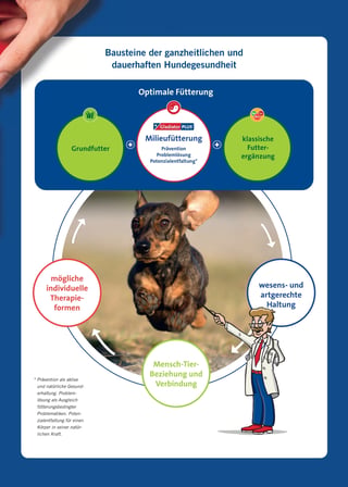 Ratgeber_zur_Milieufütterung_für_Hunde (1)-part-4